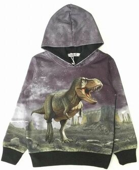 Zwarte Dino Hoodie Kids H175 - Stoer &amp; Comfortabel!