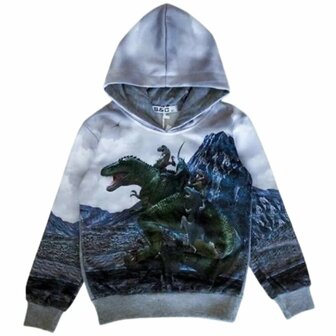 Stoere Dino Hoodie - Grijs met Print - Nu &euro;15!
