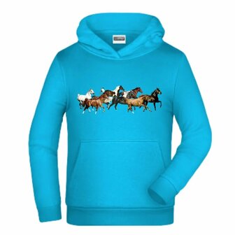 Hoodie met paard - Blauwe kindertrui &euro;27,95