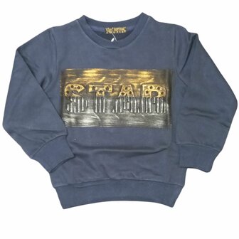 Jongens trui Star | Blauwe sweater met 3D print