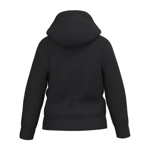 Hoodie Bear