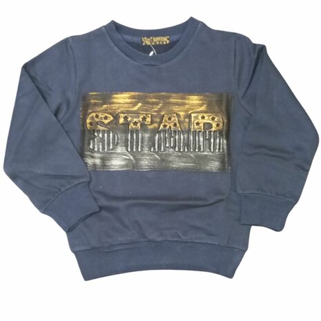 Jongens trui Star | Blauwe sweater met 3D print