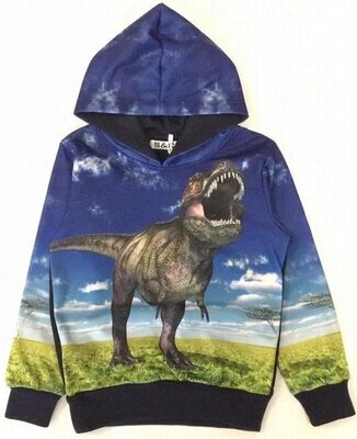 Blauwe hoodie met dino