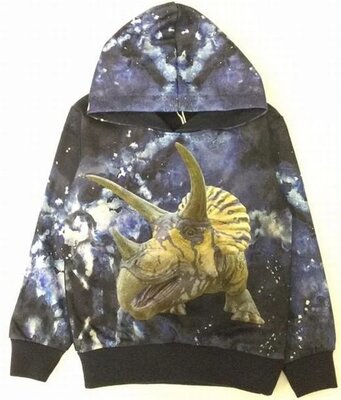 Blauwe hoodie met dinosaurus H178