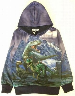 Dinosaurus hoodie H179