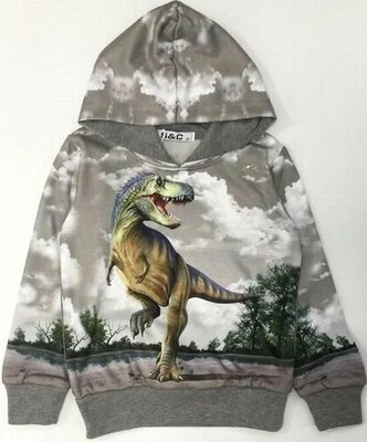 Grijze hoodie met dinosaurus H176a