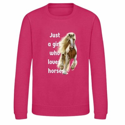Sweater Just a girl who loves horses roze