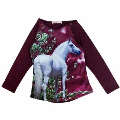 Aubergine longsleeve met paard